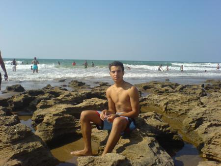 a tamariss