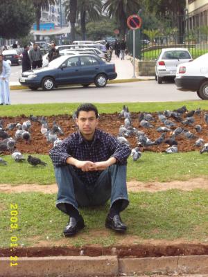 iwa dima tsarkil